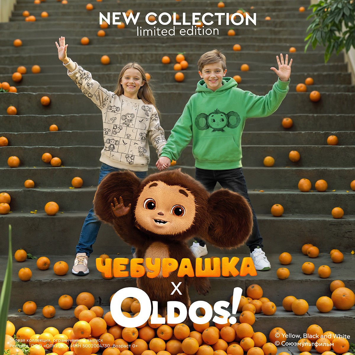 NEW COLLECTION: OLDOS х Чебурашка